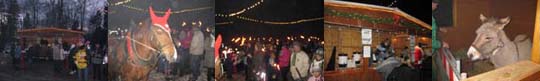 Waldweihnacht 2011