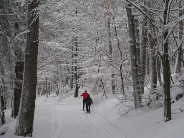 Wilhelmsfeld, Loipentechnik, Skidoo